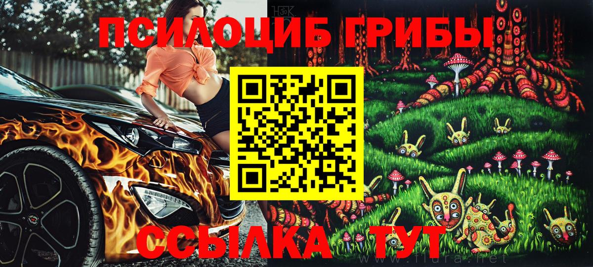Жигулёвск  как найти закладки  Вход с VPN  Псилоцибиновые грибы мухоморы 