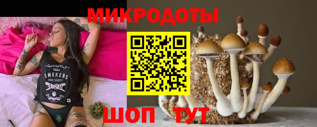 Псилоцибиновые грибы GOLDEN TEACHER Жигулёвск